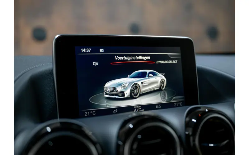 Mercedes-Benz AMG GT 4.0 R - 152901