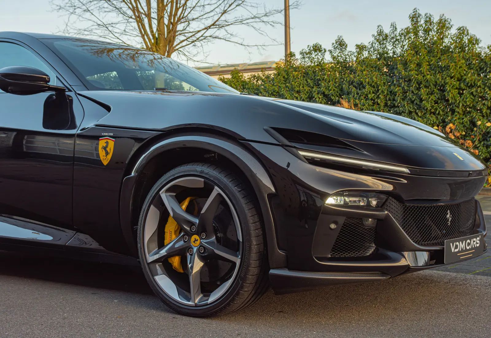 Ferrari Purosangue 6.5 V12 - 112842