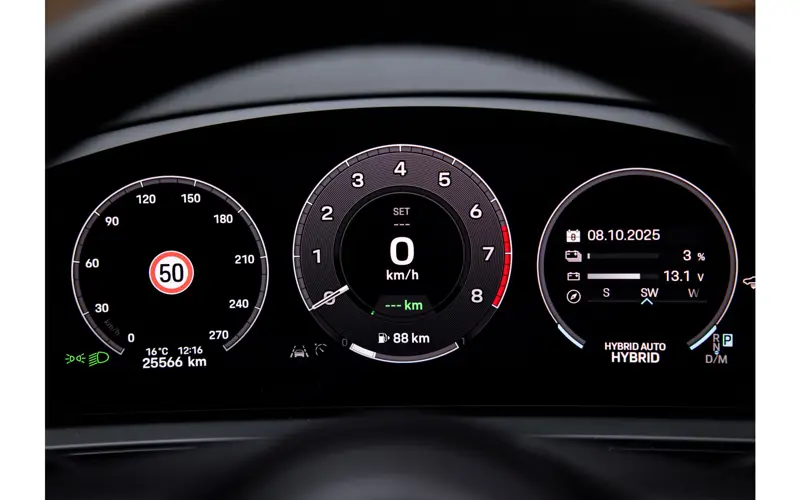 Porsche Cayenne 3.0 E-Hybrid - 118879