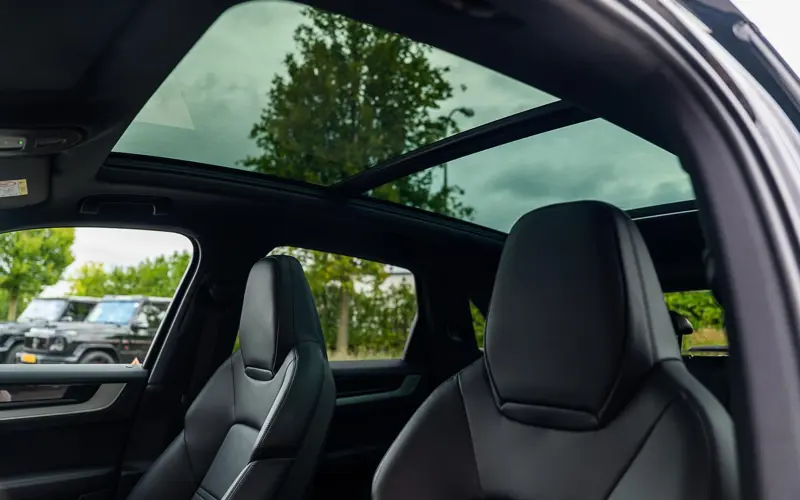 Porsche Cayenne 3.0 E-Hybrid - 172019